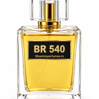 BR 540