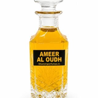 Ameer Al Oudh